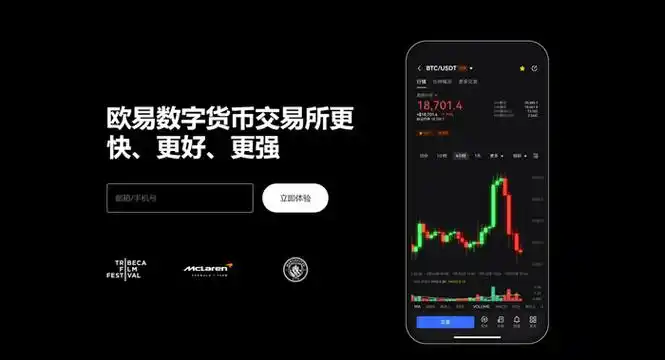 偶yi钱包平台展示图